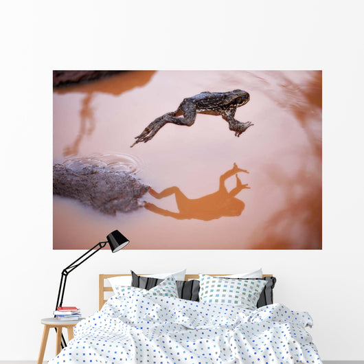 Frog Jump 3 Wall Decal