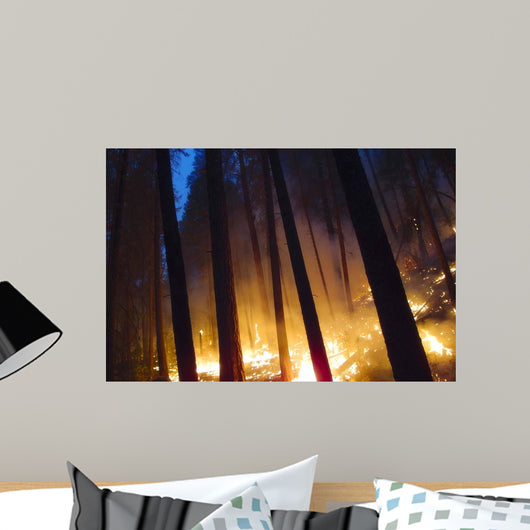 Burning Forest Wall Decal