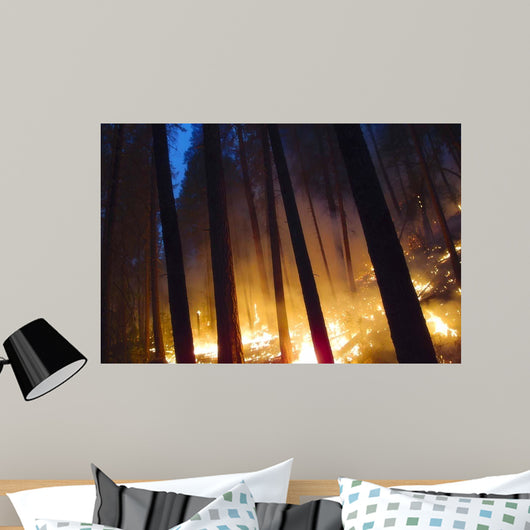 Burning Forest Wall Decal
