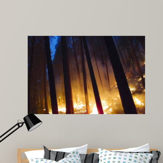 Burning Forest Wall Decal