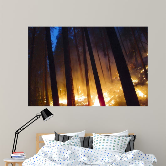 Burning Forest Wall Decal
