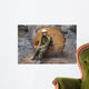 Halvey Wall Decal