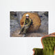 Halvey Wall Decal