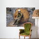 Halvey Wall Decal