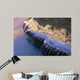 Havasu Waterfall Wall Decal