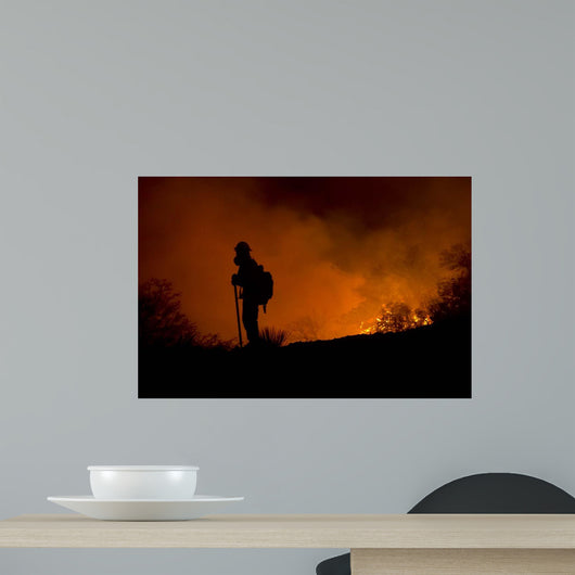 Holding Line Wall Decal