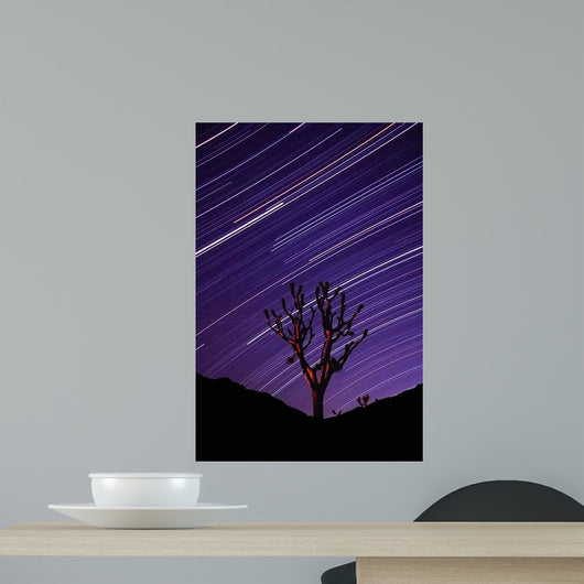Joshua Tree Brilliant Stars Wall Decal