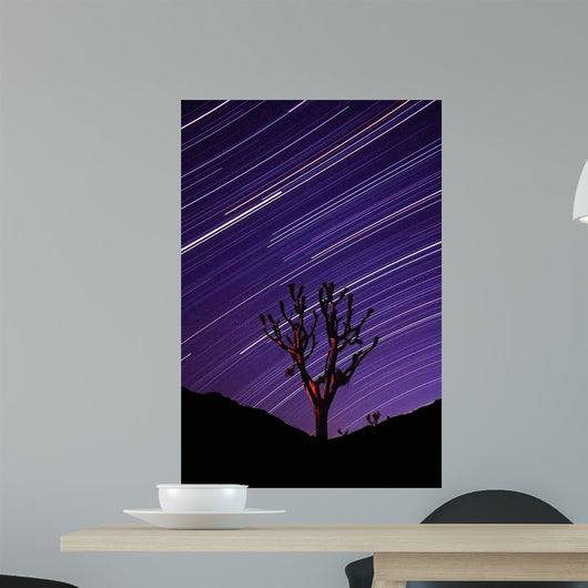 Joshua Tree Brilliant Stars Wall Decal