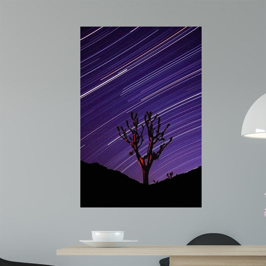 Joshua Tree Brilliant Stars Wall Decal