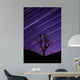 Joshua Tree Brilliant Stars Wall Decal