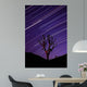 Joshua Tree Brilliant Stars Wall Decal