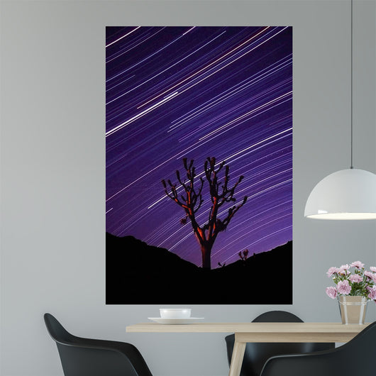 Joshua Tree Brilliant Stars Wall Decal