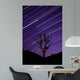 Joshua Tree Brilliant Stars Wall Decal