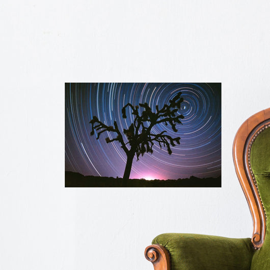 Joshua Tree North Star Wall Decal