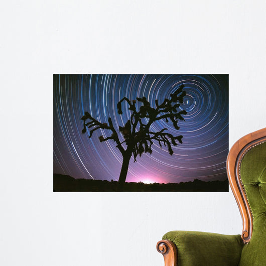 Joshua Tree North Star Wall Decal