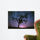 Joshua Tree North Star Wall Decal