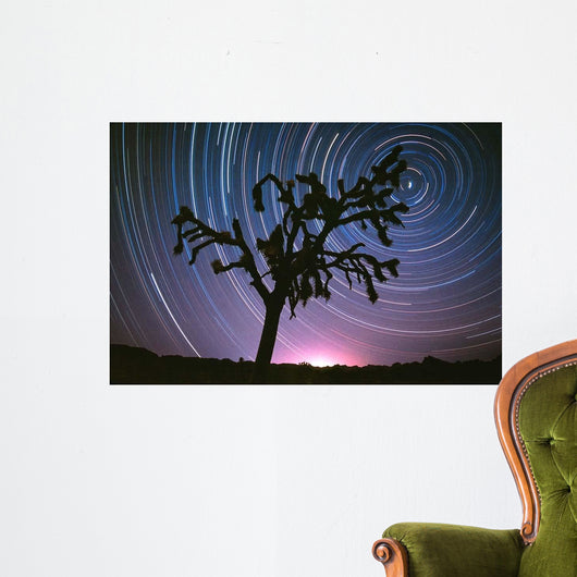 Joshua Tree North Star Wall Decal