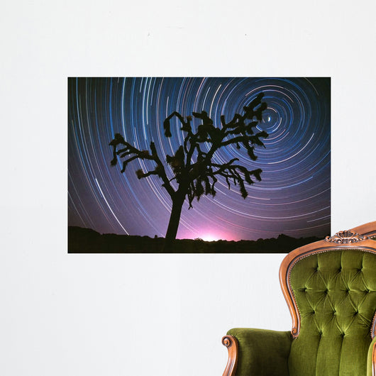 Joshua Tree North Star Wall Decal
