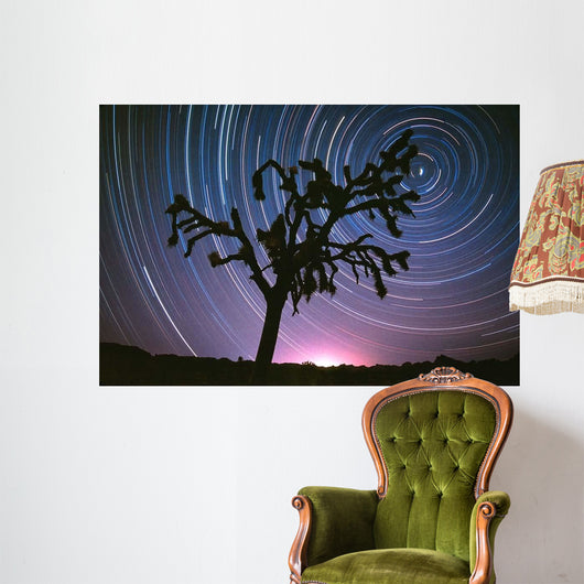 Joshua Tree North Star Wall Decal