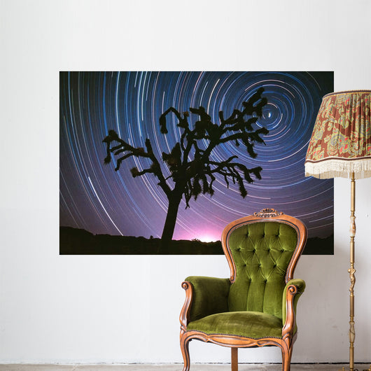 Joshua Tree North Star Wall Decal