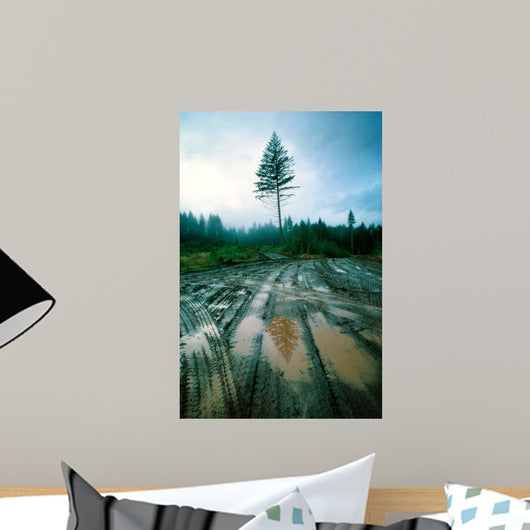 Lone fir Wall Decal Design 1