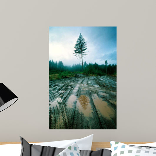 Lone fir Wall Decal Design 1
