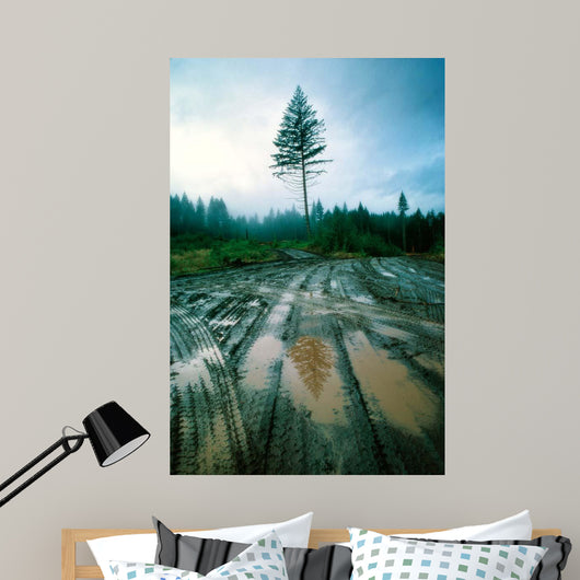 Lone fir Wall Decal Design 1
