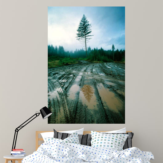 Lone fir Wall Decal Design 1