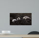 Lounging Seals Wall Decal