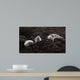 Lounging Seals Wall Decal