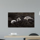 Lounging Seals Wall Decal