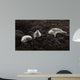 Lounging Seals Wall Decal
