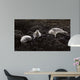 Lounging Seals Wall Decal