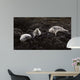 Lounging Seals Wall Decal