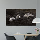 Lounging Seals Wall Decal
