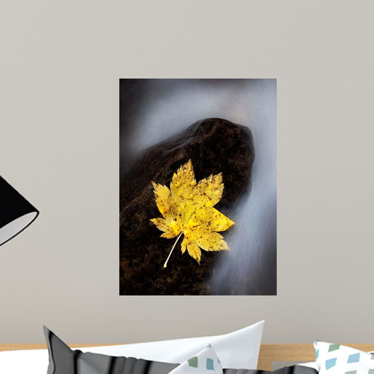 Maple Leaf Stranded Wall Decal