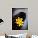 Maple Leaf Stranded Wall Decal
