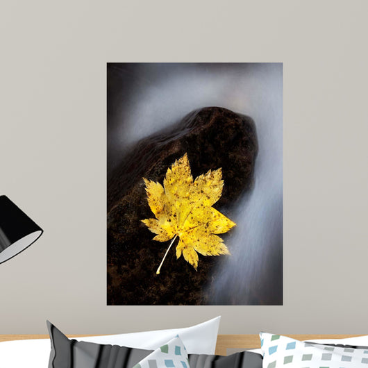 Maple Leaf Stranded Wall Decal