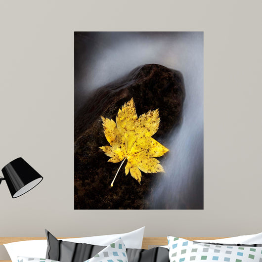 Maple Leaf Stranded Wall Decal