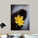 Maple Leaf Stranded Wall Decal
