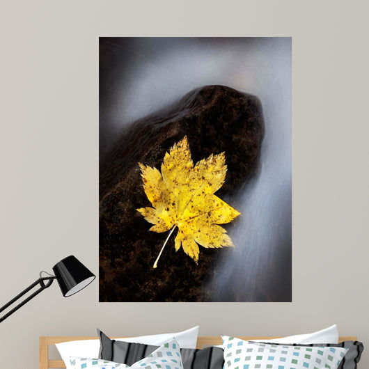 Maple Leaf Stranded Wall Decal
