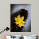 Maple Leaf Stranded Wall Decal