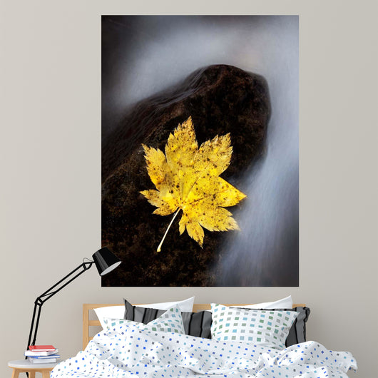Maple Leaf Stranded Wall Decal