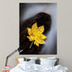 Maple Leaf Stranded Wall Decal