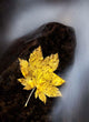 Maple Leaf Stranded Wall Decal