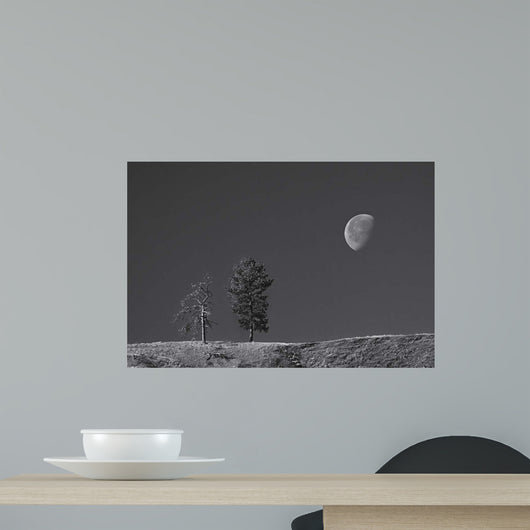 Moon Trees Hill Wall Decal