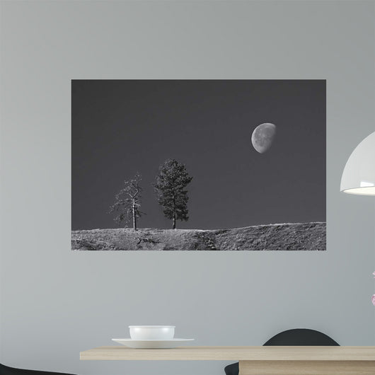 Moon Trees Hill Wall Decal