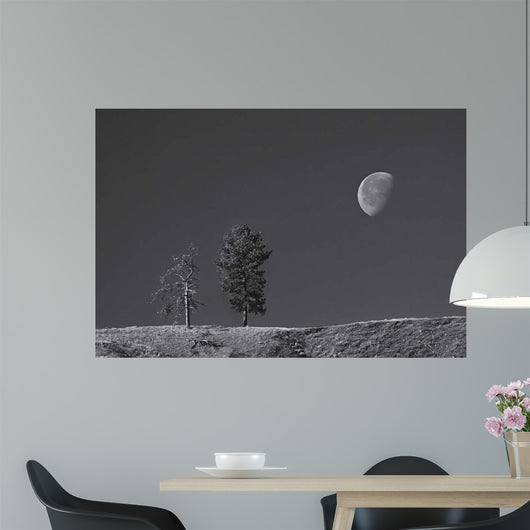 Moon Trees Hill Wall Decal