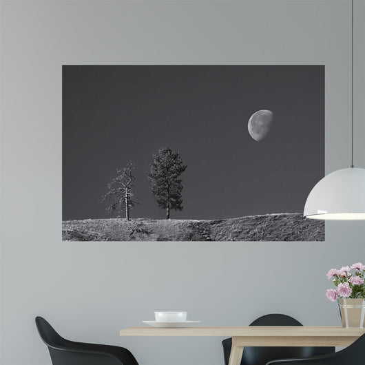 Moon Trees Hill Wall Decal