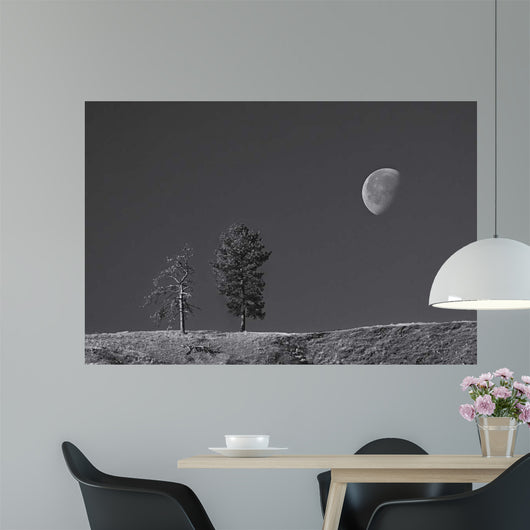 Moon Trees Hill Wall Decal